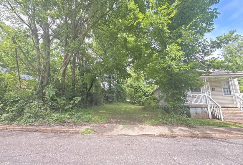 Grassed lot featuring mature trees and a paved street frontage