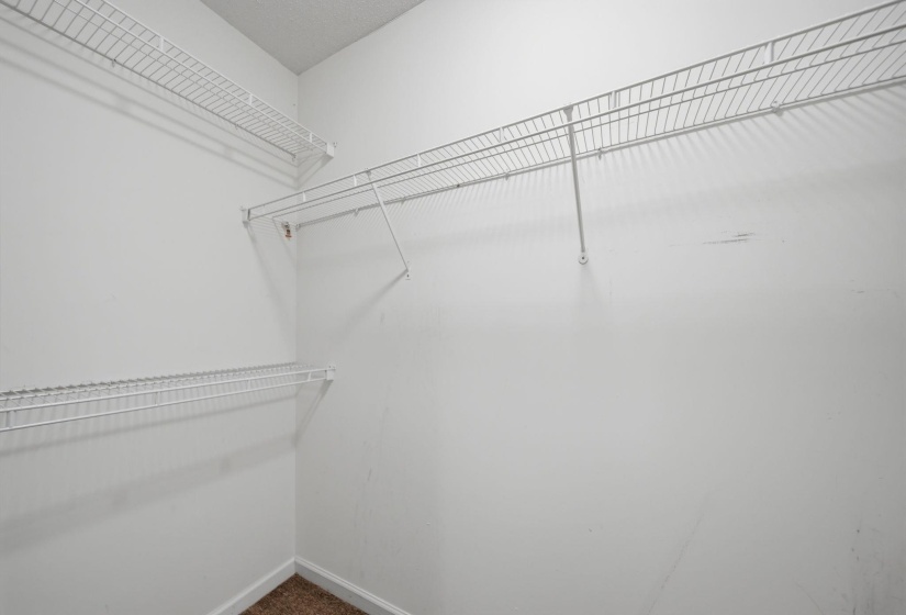 Walk-in closet featuring white wire shelving, white wire clothes hanging rods, white walls, and carpet flooring