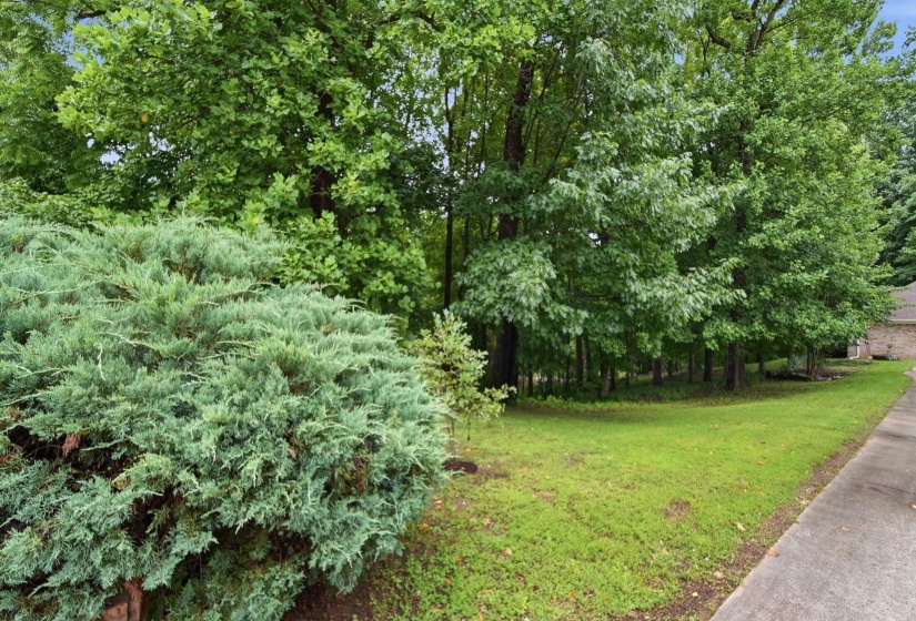 Expansive green lawn bordered by mature trees and established landscaping
