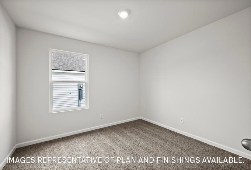Neutral-toned room featuring light gray walls, plush carpet, and a white-framed window