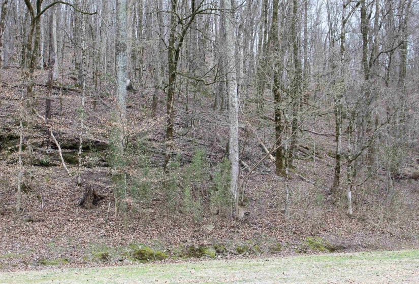 3842 WATERFALL CREEK RD, Collinwood, Tennessee 38450, ,Land,For Sale,WATERFALL CREEK,10216759