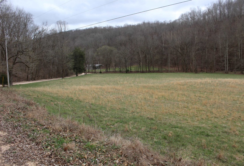 3842 WATERFALL CREEK RD, Collinwood, Tennessee 38450, ,Land,For Sale,WATERFALL CREEK,10216759