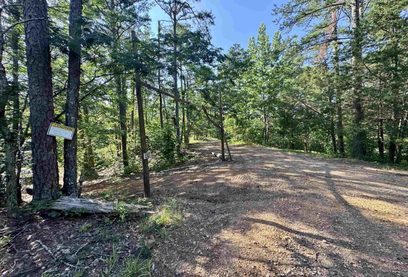 00 HWY 128 HWY, Savannah, Tennessee 38372, 0 , 0 ,0,Land,For Sale,HWY 128,0,10223985