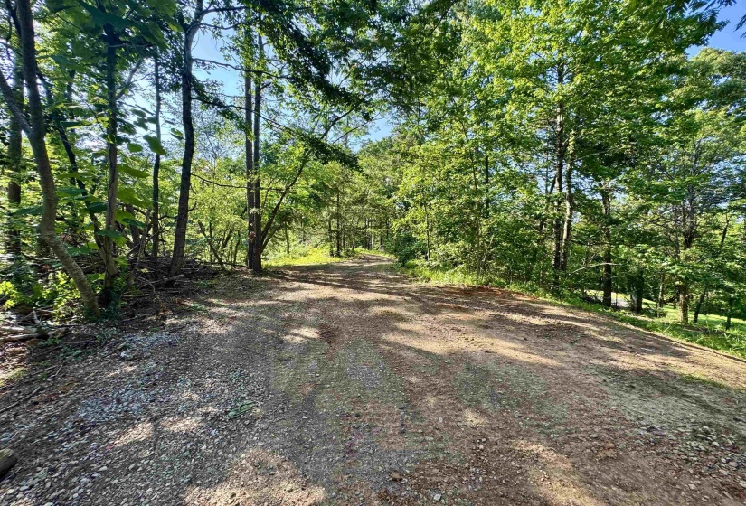 00 HWY 128 HWY, Savannah, Tennessee 38372, 0 , 0 ,0,Land,For Sale,HWY 128,0,10223985