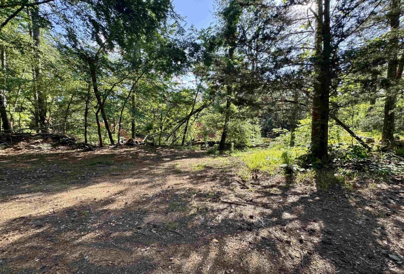 00 HWY 128 HWY, Savannah, Tennessee 38372, 0 , 0 ,0,Land,For Sale,HWY 128,0,10223985