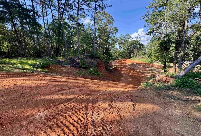 00 HWY 128 HWY, Savannah, Tennessee 38372, 0 , 0 ,0,Land,For Sale,HWY 128,0,10223985