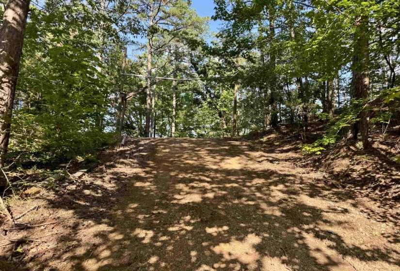 00 HWY 128 HWY, Savannah, Tennessee 38372, 0 , 0 ,0,Land,For Sale,HWY 128,0,10223985
