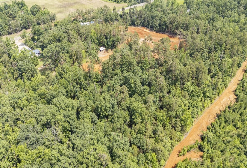 00 HWY 128 HWY, Savannah, Tennessee 38372, 0 , 0 ,0,Land,For Sale,HWY 128,0,10223985