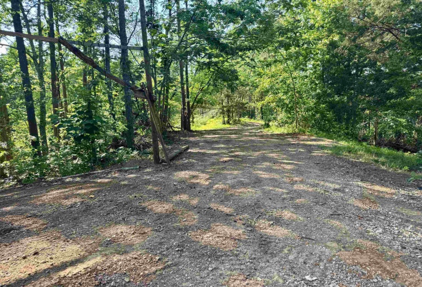 00 HWY 128 HWY, Savannah, Tennessee 38372, 0 , 0 ,0,Land,For Sale,HWY 128,0,10223985