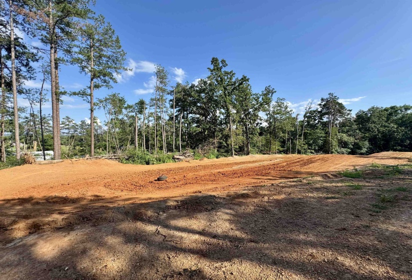 00 HWY 128 HWY, Savannah, Tennessee 38372, 0 , 0 ,0,Land,For Sale,HWY 128,0,10223985