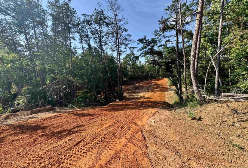 00 HWY 128 HWY, Savannah, Tennessee 38372, 0 , 0 ,0,Land,For Sale,HWY 128,0,10223985