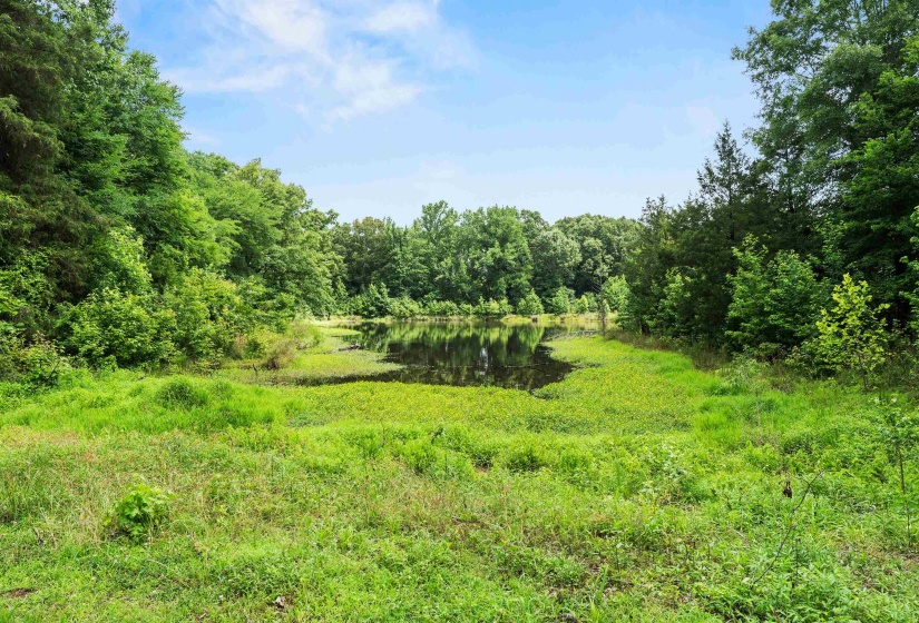 0 CYPRESS LAKE DR, Arlington, Tennessee 38002, ,Land,For Sale,CYPRESS LAKE,10224016
