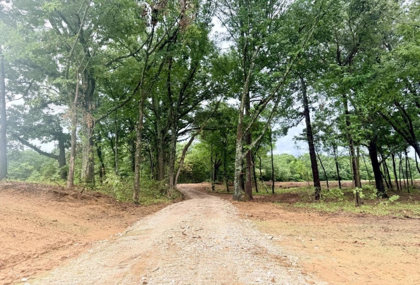 0 YOUNG CEMETARY RD, Gadsden, Tennessee 38337, 0 , 0 ,0,Land,For Sale,YOUNG CEMETARY,0,10224020