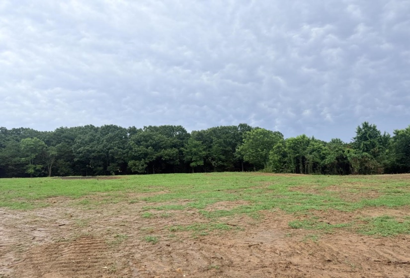 0 YOUNG CEMETARY RD, Gadsden, Tennessee 38337, 0 , 0 ,0,Land,For Sale,YOUNG CEMETARY,0,10224020