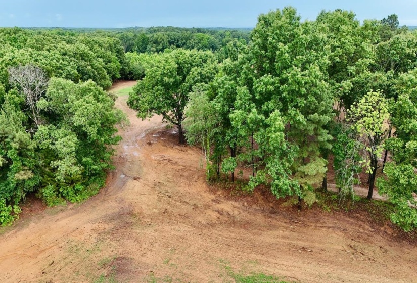 0 YOUNG CEMETARY RD, Gadsden, Tennessee 38337, 0 , 0 ,0,Land,For Sale,YOUNG CEMETARY,0,10224020