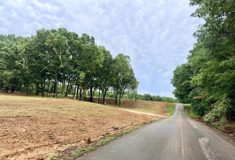 0 YOUNG CEMETARY RD, Gadsden, Tennessee 38337, 0 , 0 ,0,Land,For Sale,YOUNG CEMETARY,0,10224020