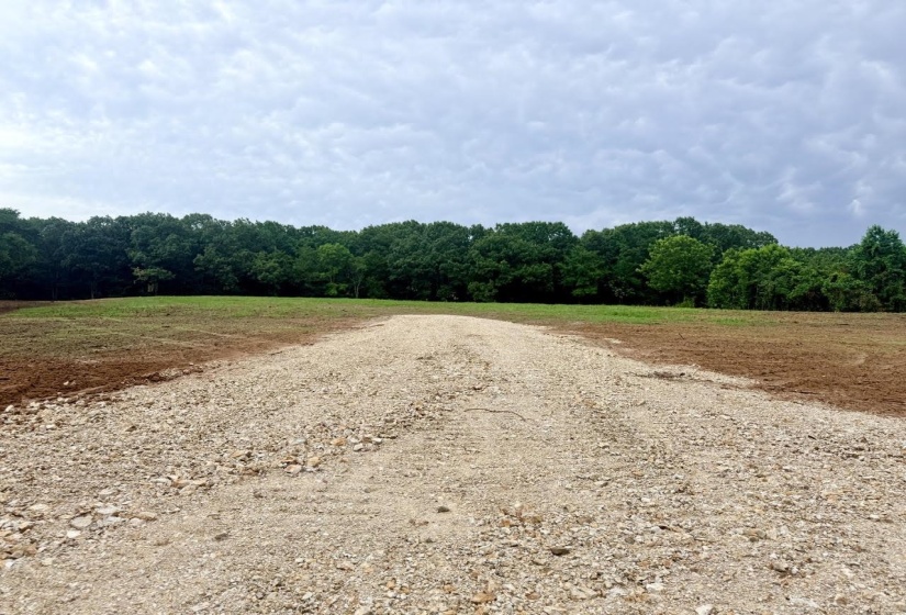 0 YOUNG CEMETARY RD, Gadsden, Tennessee 38337, 0 , 0 ,0,Land,For Sale,YOUNG CEMETARY,0,10224020