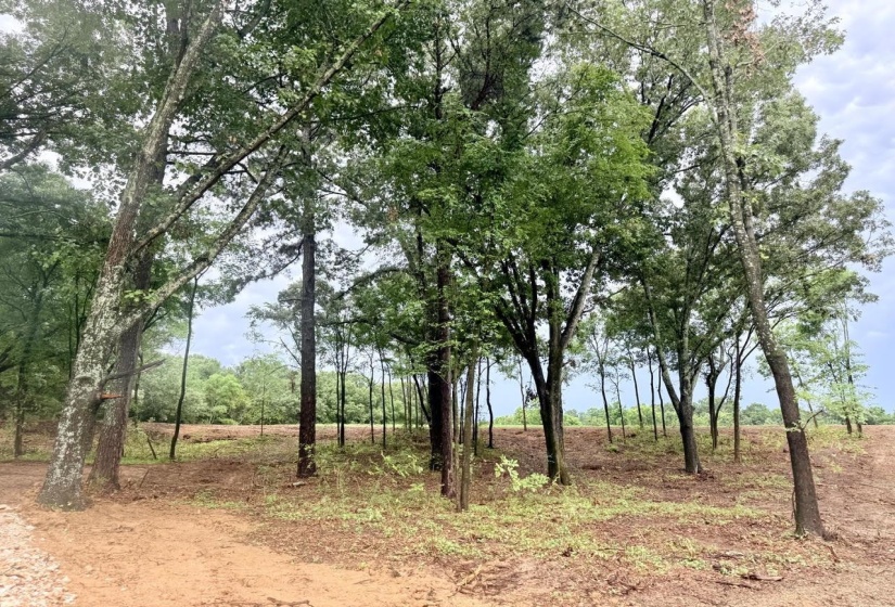 0 YOUNG CEMETARY RD, Gadsden, Tennessee 38337, 0 , 0 ,0,Land,For Sale,YOUNG CEMETARY,0,10224020