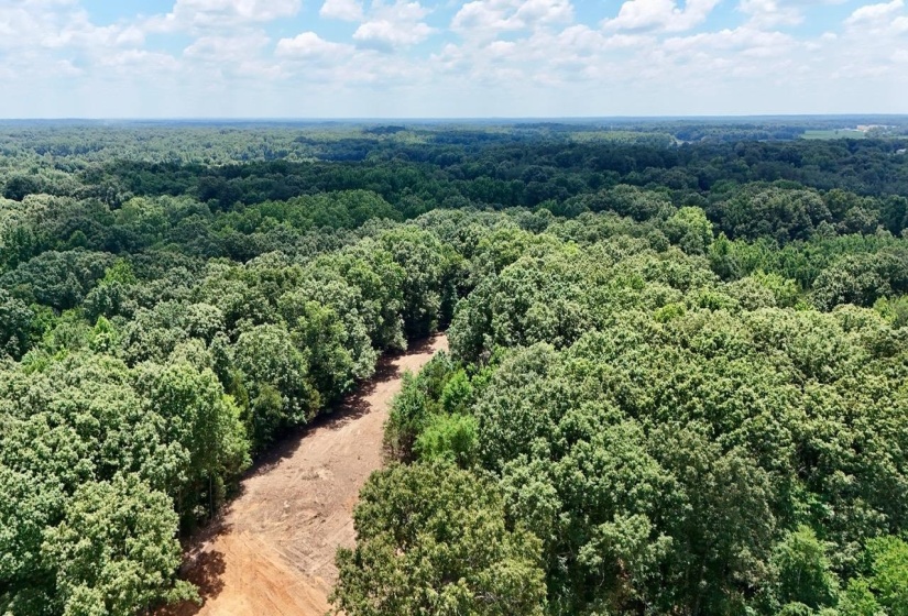12 PLOMAR WILLIAMS RD, Gadsden, Tennessee 38337, ,Land,For Sale,PLOMAR WILLIAMS,10224023