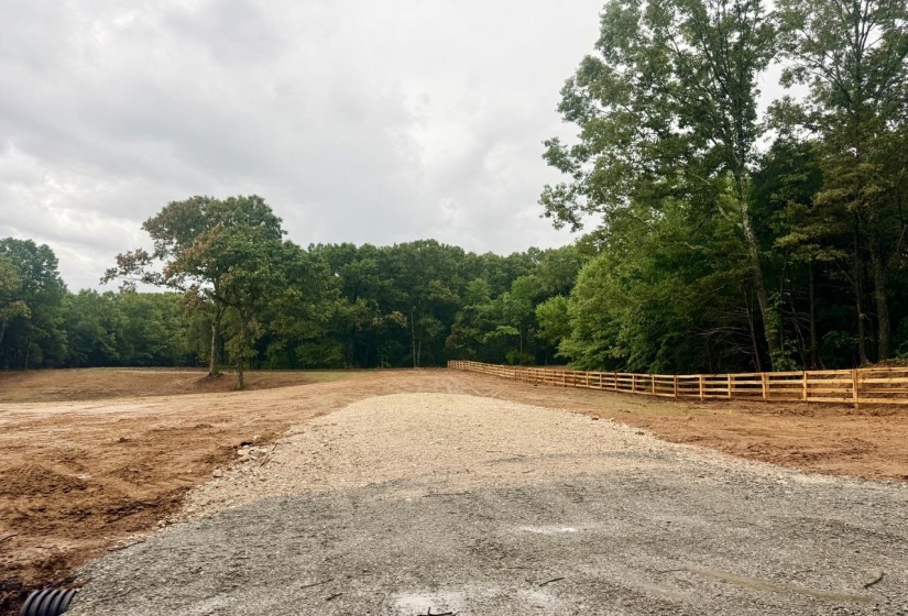12 PLOMAR WILLIAMS RD, Gadsden, Tennessee 38337, ,Land,For Sale,PLOMAR WILLIAMS,10224023