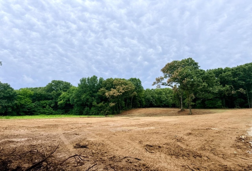 12 PLOMAR WILLIAMS RD, Gadsden, Tennessee 38337, ,Land,For Sale,PLOMAR WILLIAMS,10224023