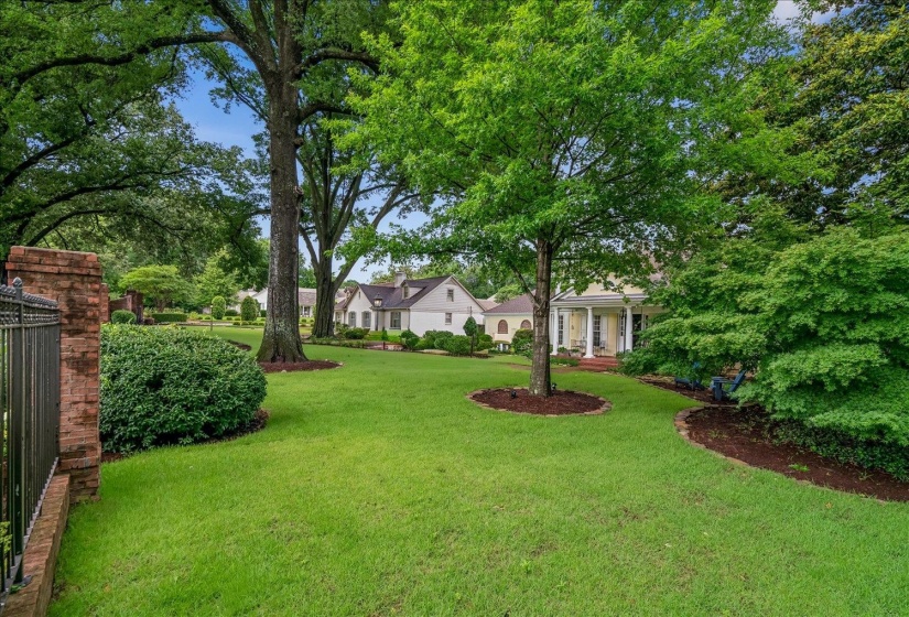 Expansive front lawn with mature trees and established landscaping