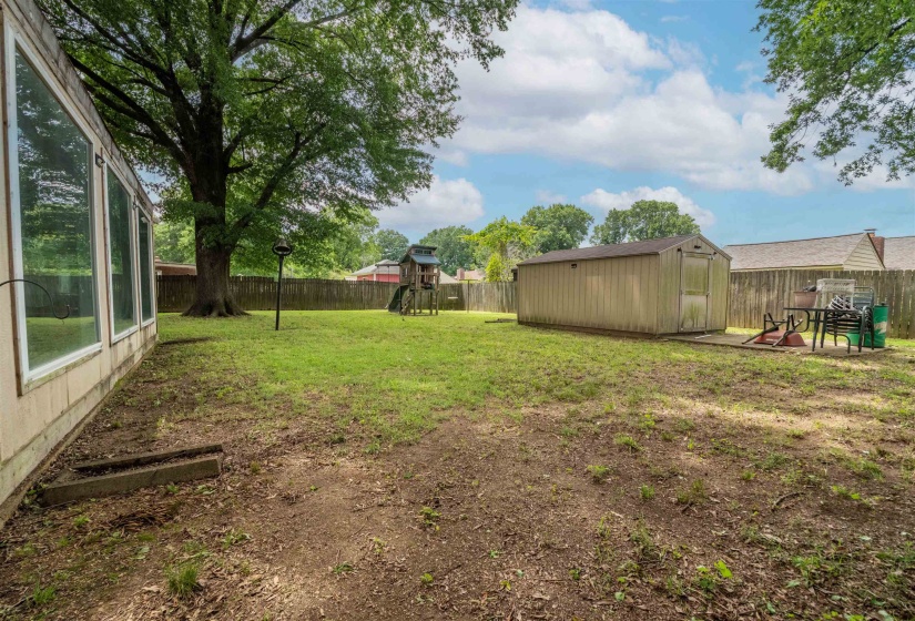 Expansive backyard featuring a mature shade tree, a wooden privacy fence, and a storage shed