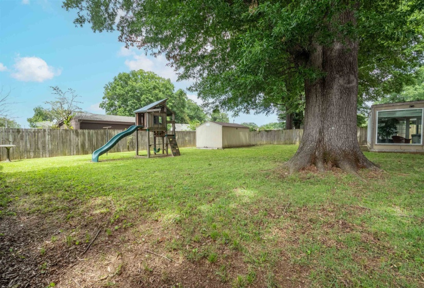 Expansive lawn area featuring a large mature tree, wood privacy fencing, a storage shed, and a detached structure with a large window