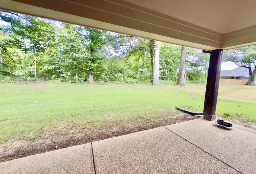 1157 MOUNTAIN SIDE DR, Collierville, Tennessee 38017, 5 Bedrooms Bedrooms, 10 Rooms Rooms,3.1 BathroomsBathrooms,Rental Properties,For Sale,MOUNTAIN SIDE,10224057