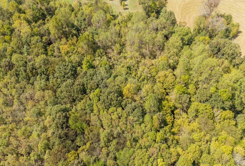 00 END DR, Savannah, Tennessee 38372, 0 , 0 ,0,Land,For Sale,END,0,10206977