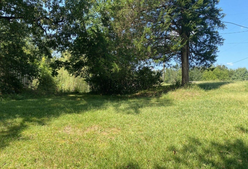 Spacious green lot featuring mature trees and ample open space