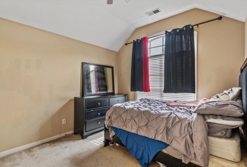 Carpeted room with a vaulted ceiling, a single window, and a ceiling fan