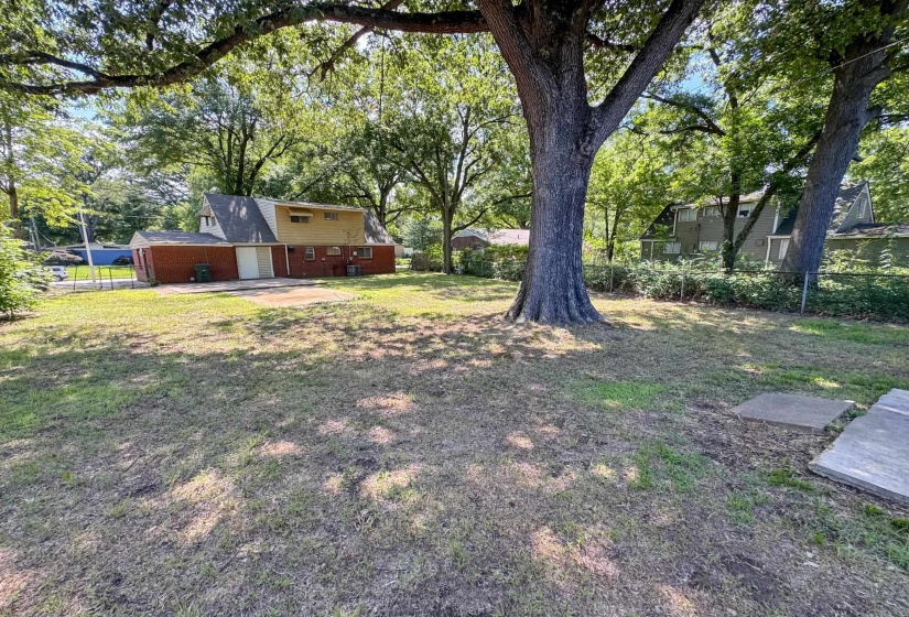 Expansive rear yard featuring mature trees and a substantial grassy area