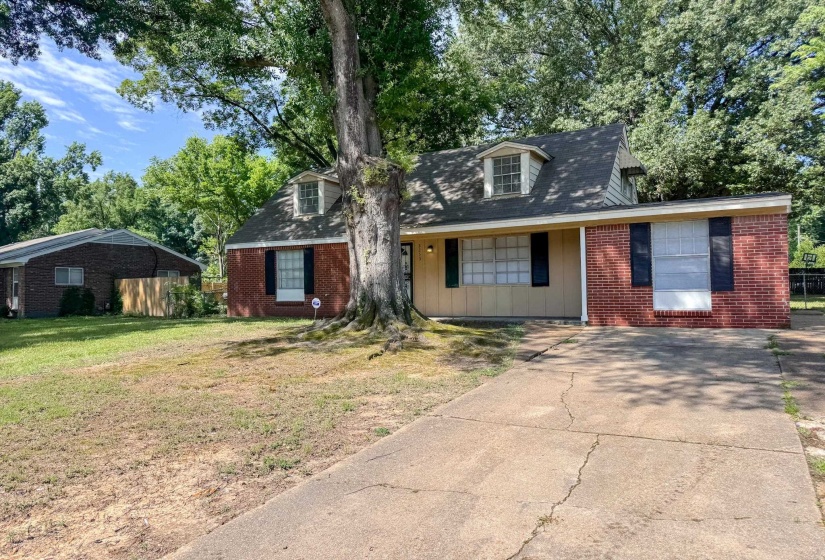 Traditional home with brick and siding exterior, featuring a prominent mature tree