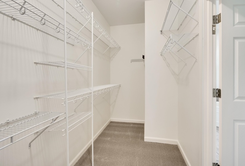 Walk-in closet featuring light gray carpet, white baseboards, and comprehensive wire shelving and hanging systems