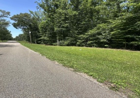 BRAMBLE DR, Selmer, Tennessee 38375, ,Land,For Sale,BRAMBLE,10224068 BRAMBLE DR, Selmer, Tennessee 38375, ,Land,For Sale,BRAMBLE,10224068