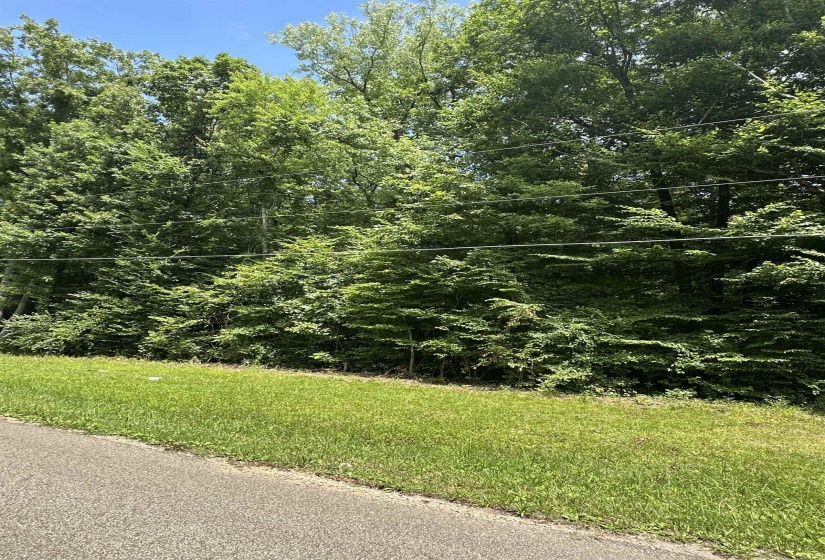 BRAMBLE DR, Selmer, Tennessee 38375, ,Land,For Sale,BRAMBLE,10224068