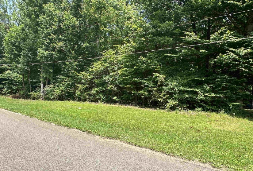 BRAMBLE DR, Selmer, Tennessee 38375, ,Land,For Sale,BRAMBLE,10224068