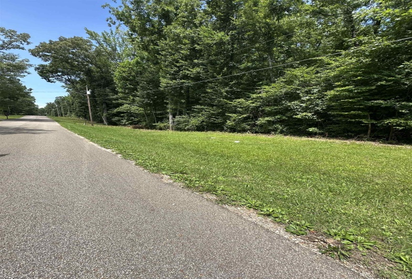 BRAMBLE DR, Selmer, Tennessee 38375, ,Land,For Sale,BRAMBLE,10224068