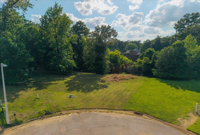 9021 RED TULIP CV, Memphis, Tennessee 38018, ,Land,For Sale,RED TULIP,10224071