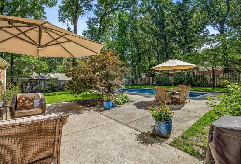 Expansive backyard featuring a concrete patio, in-ground swimming pool, and mature trees