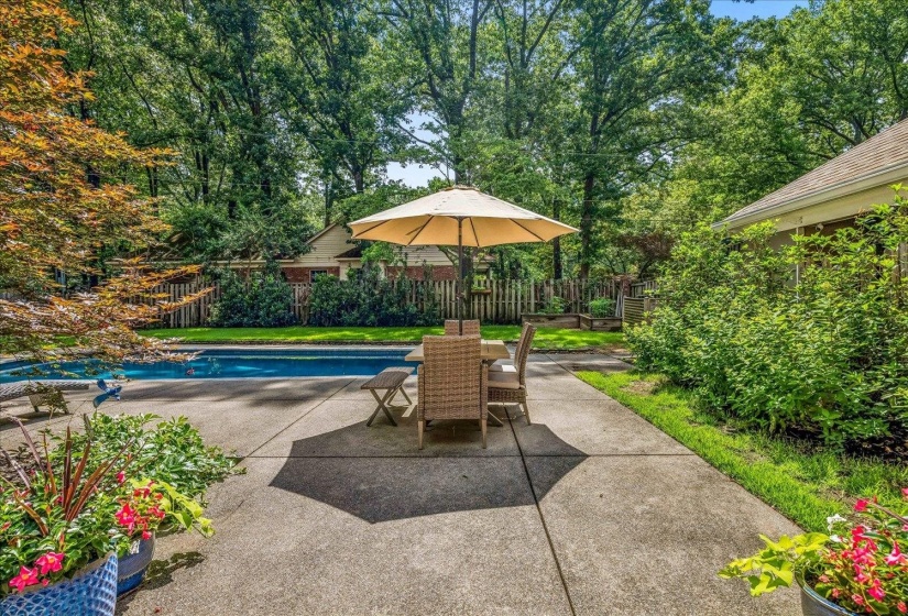 Expansive backyard featuring a rectangular swimming pool, concrete patio, mature trees, and established shrubbery
