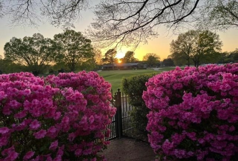10211 CARNEGIE CLUB DR, Collierville, Tennessee 38017, 4 Bedroom Bedrooms, 9 Room Rooms,3 BathroomBathrooms,Residential,For Sale,CARNEGIE CLUB,0,10224097