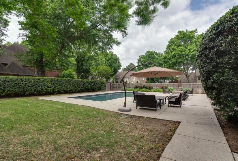 Expansive outdoor space featuring a rectangular swimming pool with a concrete surround, a large concrete patio, and mature perimeter hedging