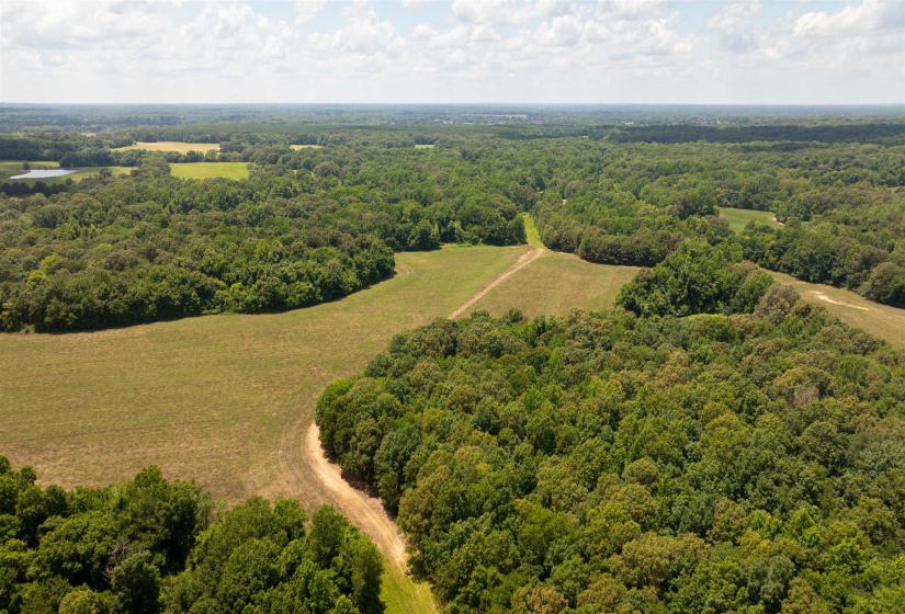 0 WILBOURNE RD, Oakland, Tennessee 38060, ,Land,For Sale,WILBOURNE,10224124