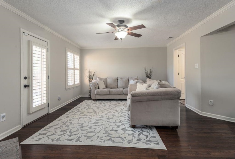 Spacious living area featuring dark wood-finish flooring, light gray wall paint, and white crown molding