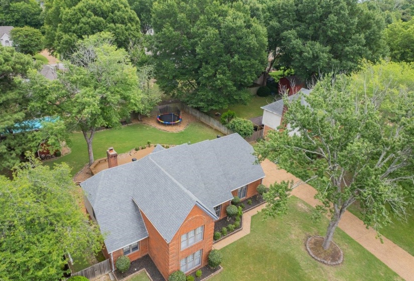 Traditional brick residence featuring a new gray shingle roof, established landscaping, a spacious lawn, and mature trees