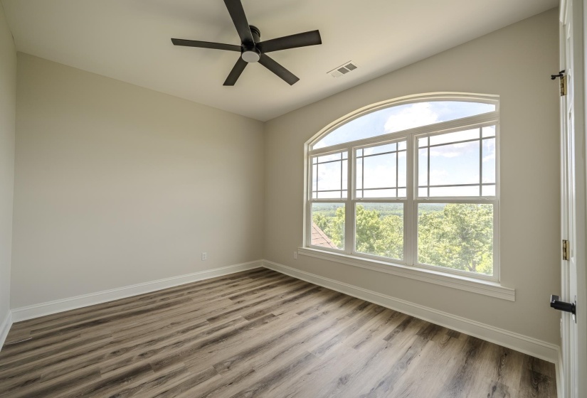 Room featuring a large arched window with grid patterns, wood-finish flooring, a ceiling fan, and light-toned walls