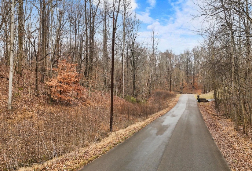 0 SUSAN'S CIR, Drummonds, Tennessee 38023, ,Land,For Sale,SUSAN'S,10212417