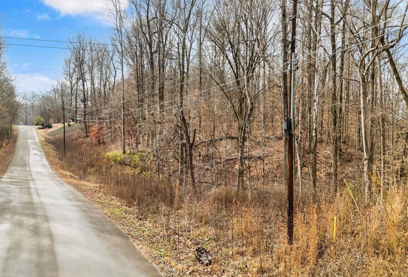 0 SUSAN'S CIR, Drummonds, Tennessee 38023, ,Land,For Sale,SUSAN'S,10212417